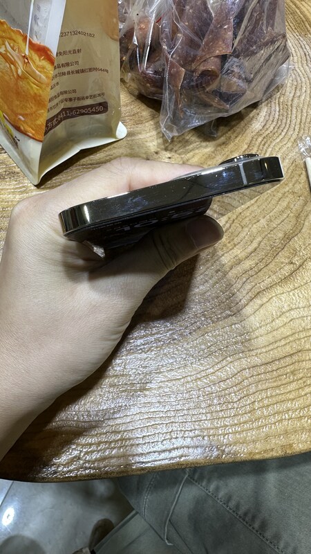 iPhone 13 Pro Max